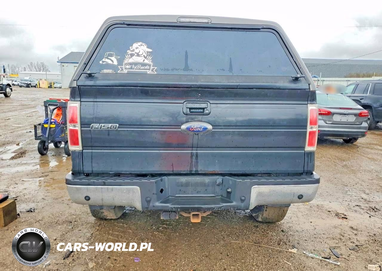 2011 Ford F150 Supercrew VIN:1FTFW1ET8BFA58813 - 6