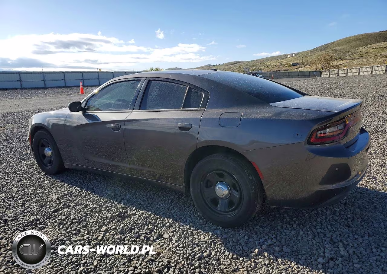 2019 Dodge Charger Police VIN:2C3CDXAT3KH644811 - 2