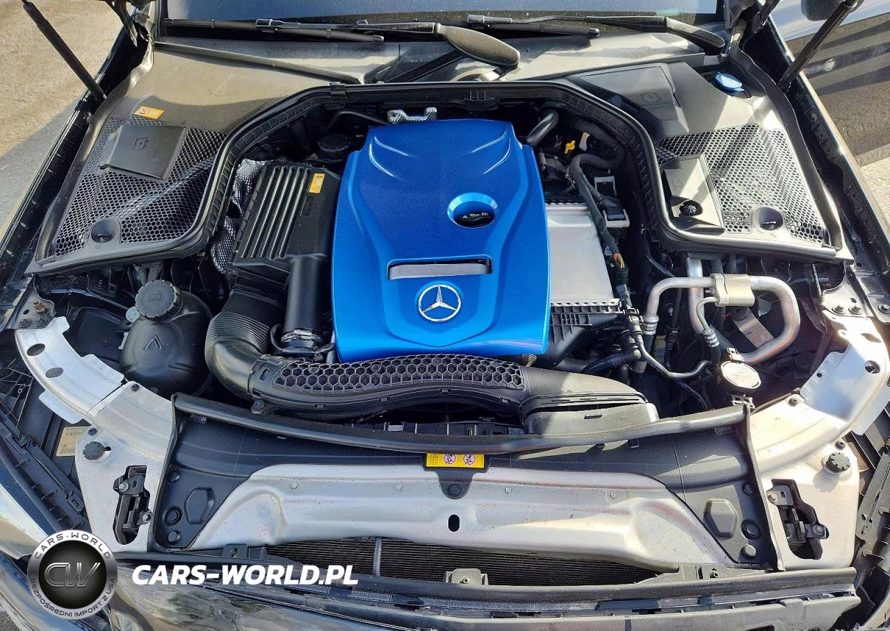 2016 Mercedes-Benz C 300 VIN:55SWF4JB9GU162462 - 11