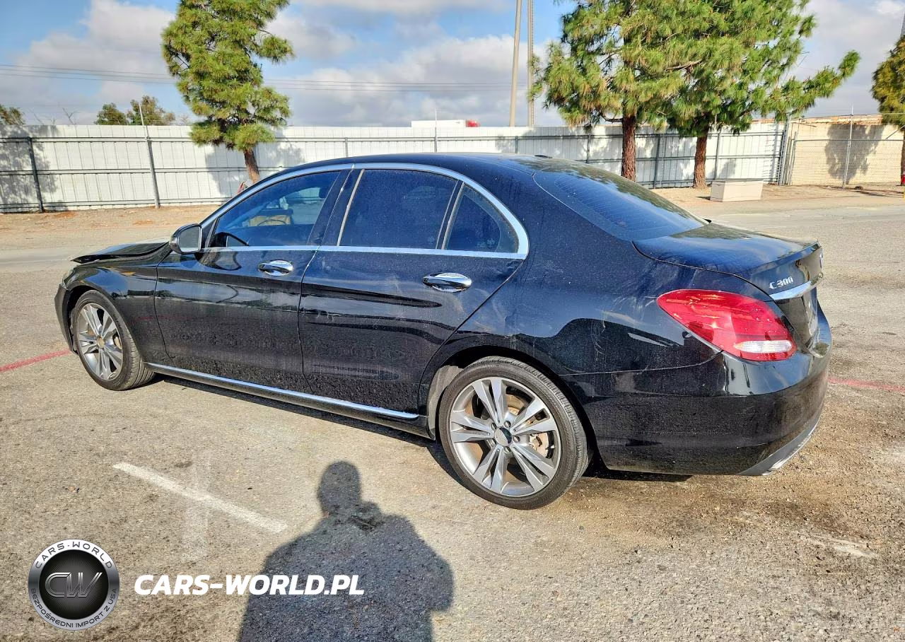 2016 Mercedes-Benz C 300 VIN:55SWF4JB9GU162462 - 2
