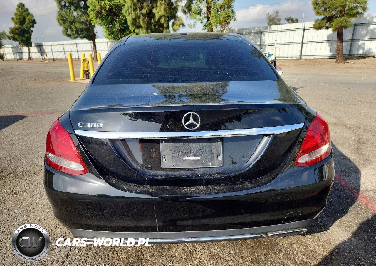 2016 Mercedes-Benz C 300 VIN:55SWF4JB9GU162462 - 6