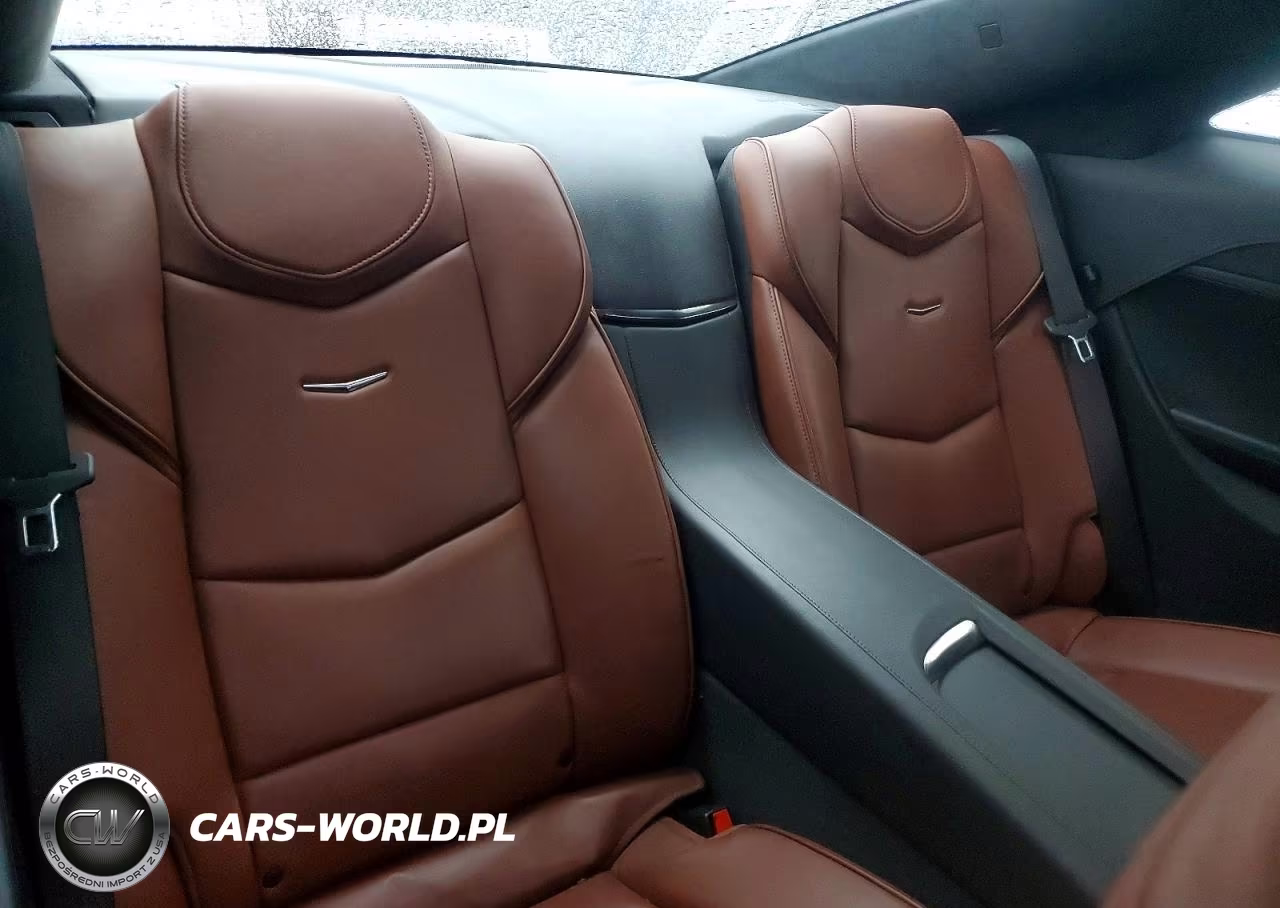 2014 Cadillac Elr Luxury VIN:1G6RS1E48EU600500 - 10