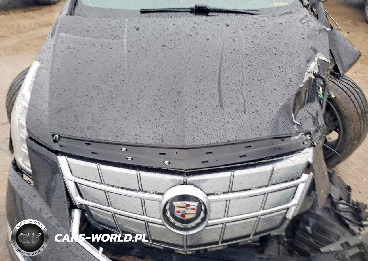 2014 Cadillac Elr Luxury VIN:1G6RS1E48EU600500 - 11