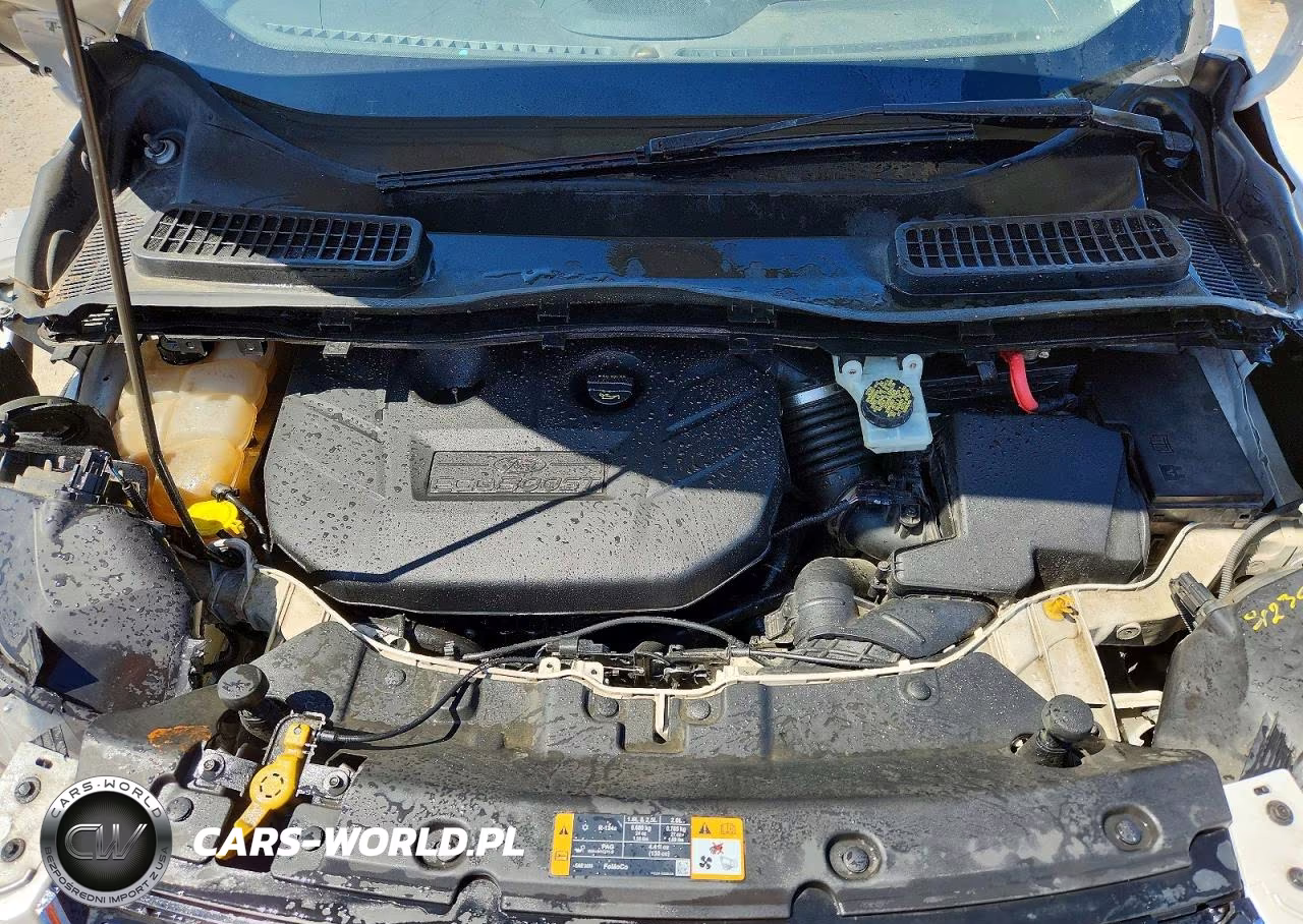 2013 Ford Escape Sel VIN:1FMCU9H99DUC22913 - 12