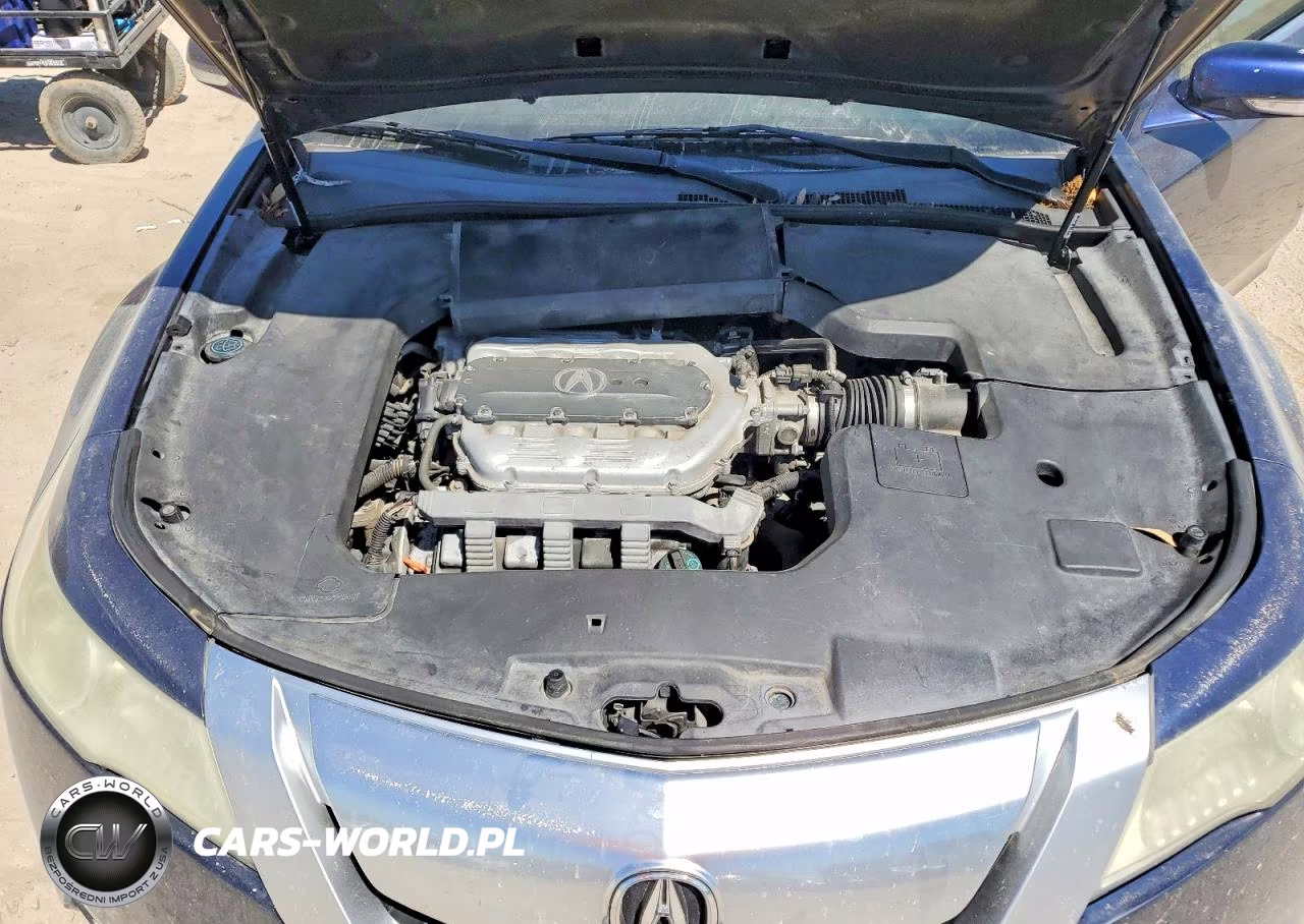 2009 Acura Tl VIN:19UUA86269A012393 - 11