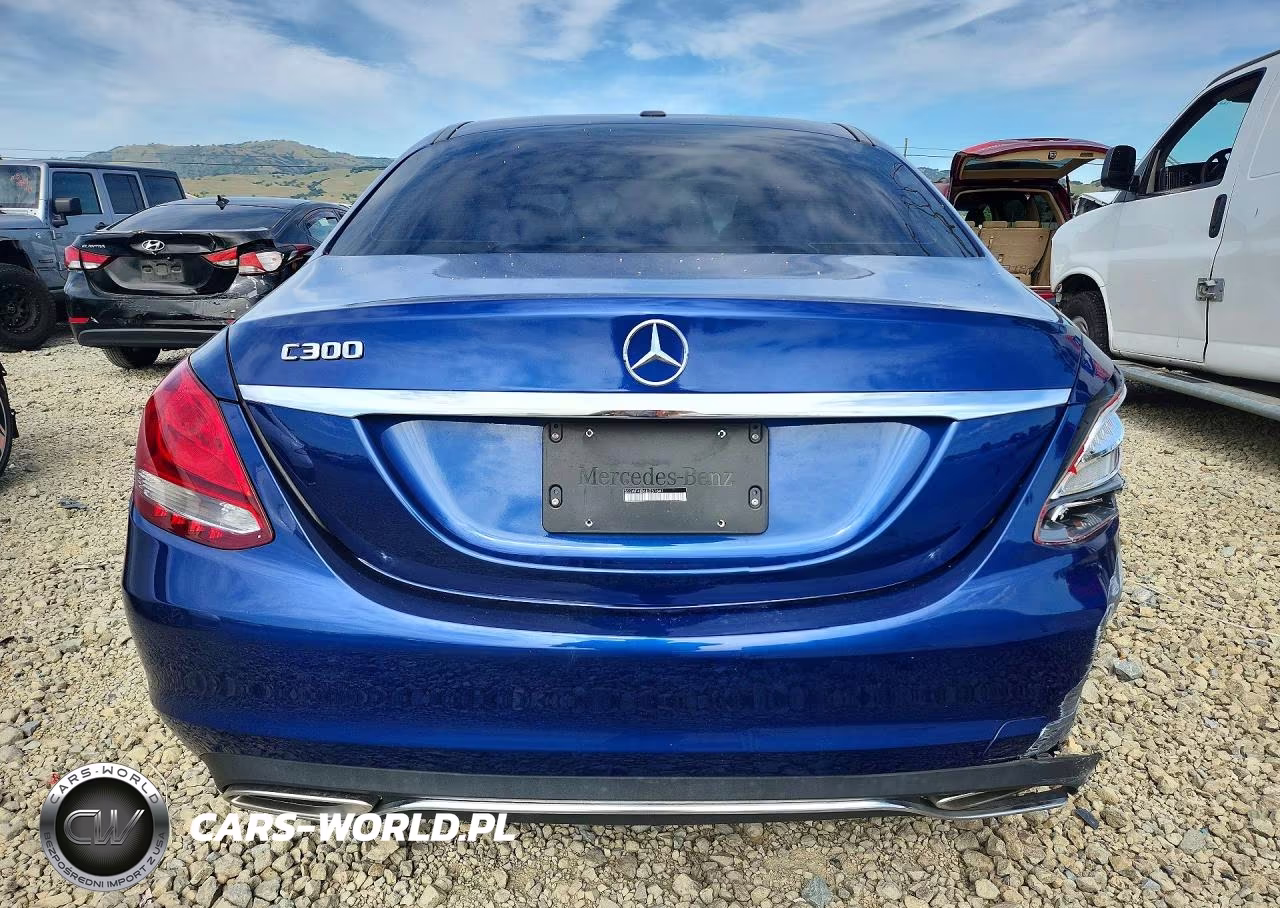 2018 Mercedes-Benz C 300 VIN:55SWF4JB6JU251641 - 6