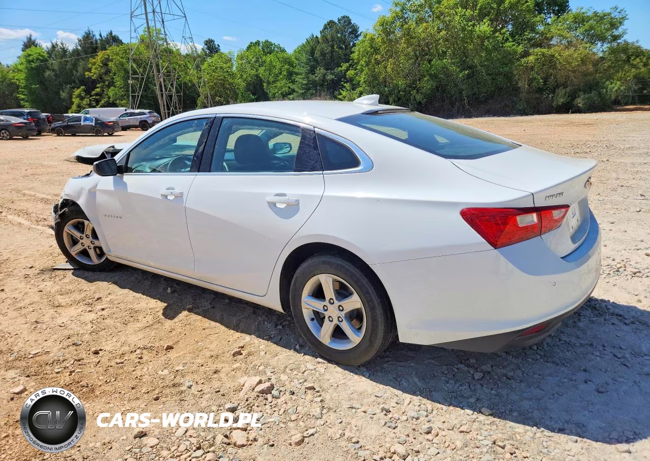 2024 Chevrolet Malibu Lt VIN:1G1ZD5ST4RF162684 - 2