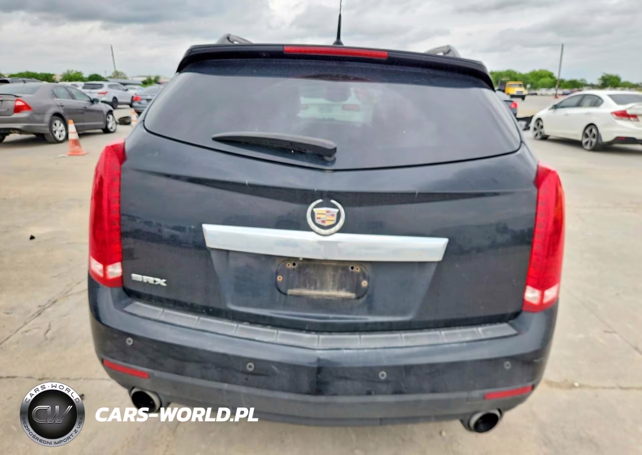 2010 Cadillac Srx Luxury Collection VIN:3GYFNAEYXAS573234 - 6