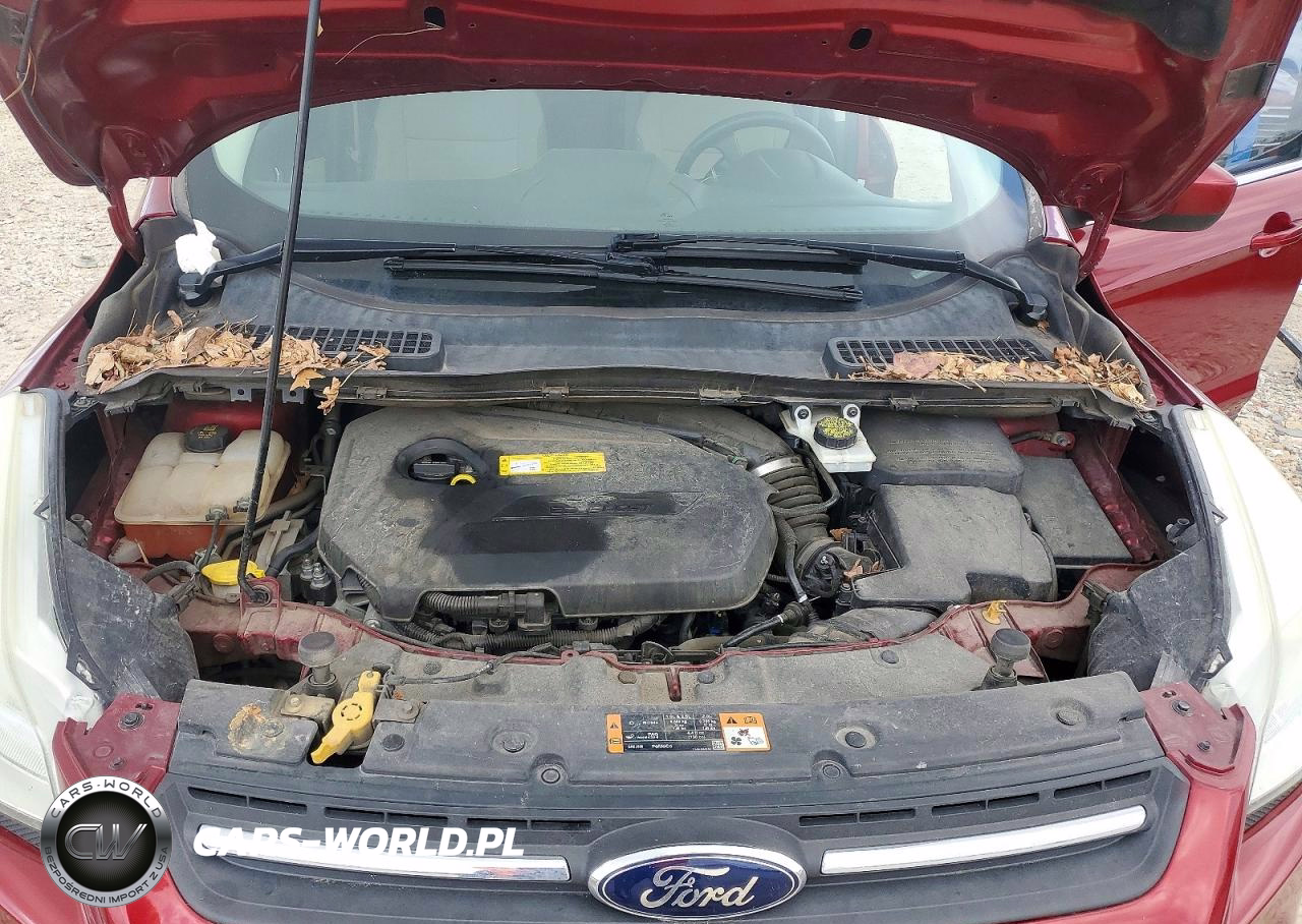 2015 Ford Escape Se VIN:1FMCU0GX2FUA78393 - 12