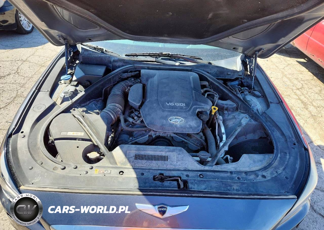 2016 Hyundai Genesis 3.8L VIN:KMHGN4JE7GU121169 - 11