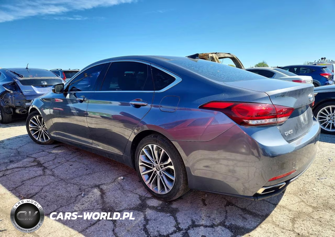 2016 Hyundai Genesis 3.8L VIN:KMHGN4JE7GU121169 - 2
