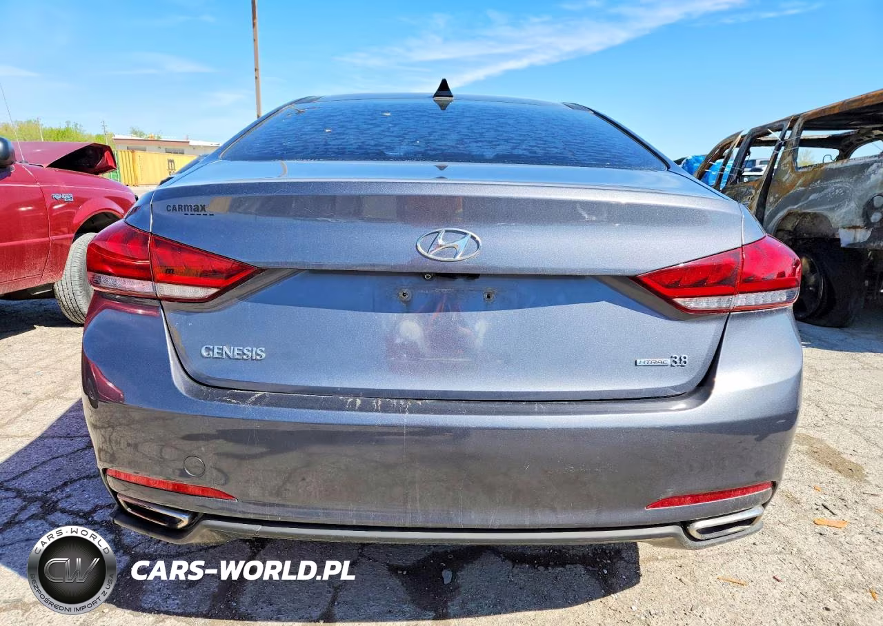 2016 Hyundai Genesis 3.8L VIN:KMHGN4JE7GU121169 - 6