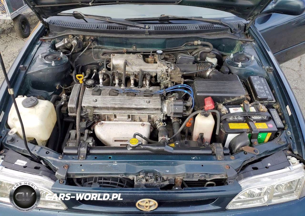 1997 Toyota Corolla Dx VIN:1NXBB02E5VZ588419 - 11