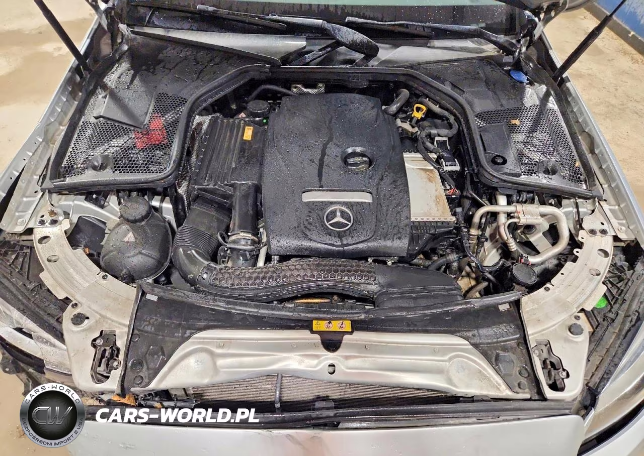 2017 Mercedes-Benz C 300 4Matic VIN:55SWF4KB9HU209053 - 11