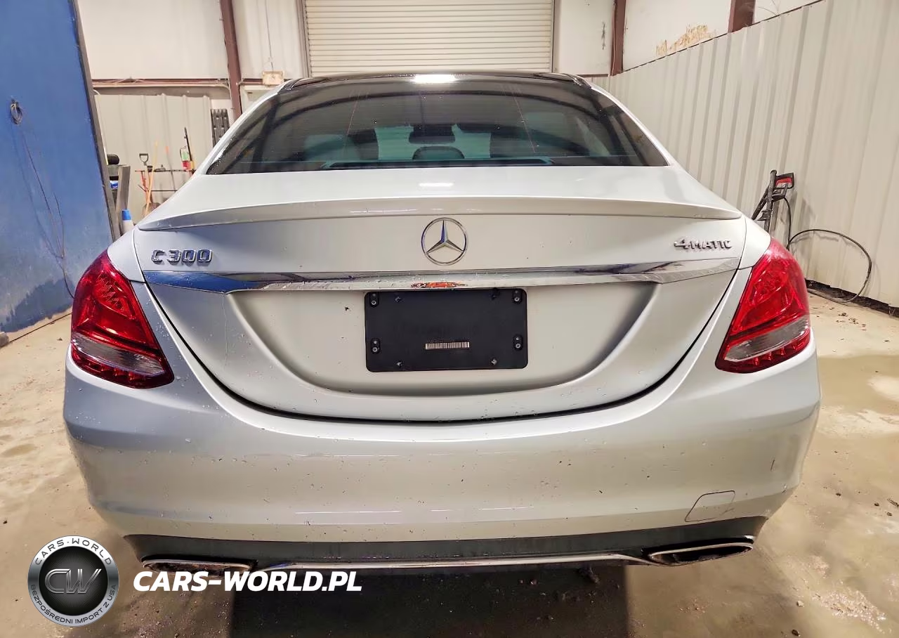 2017 Mercedes-Benz C 300 4Matic VIN:55SWF4KB9HU209053 - 6