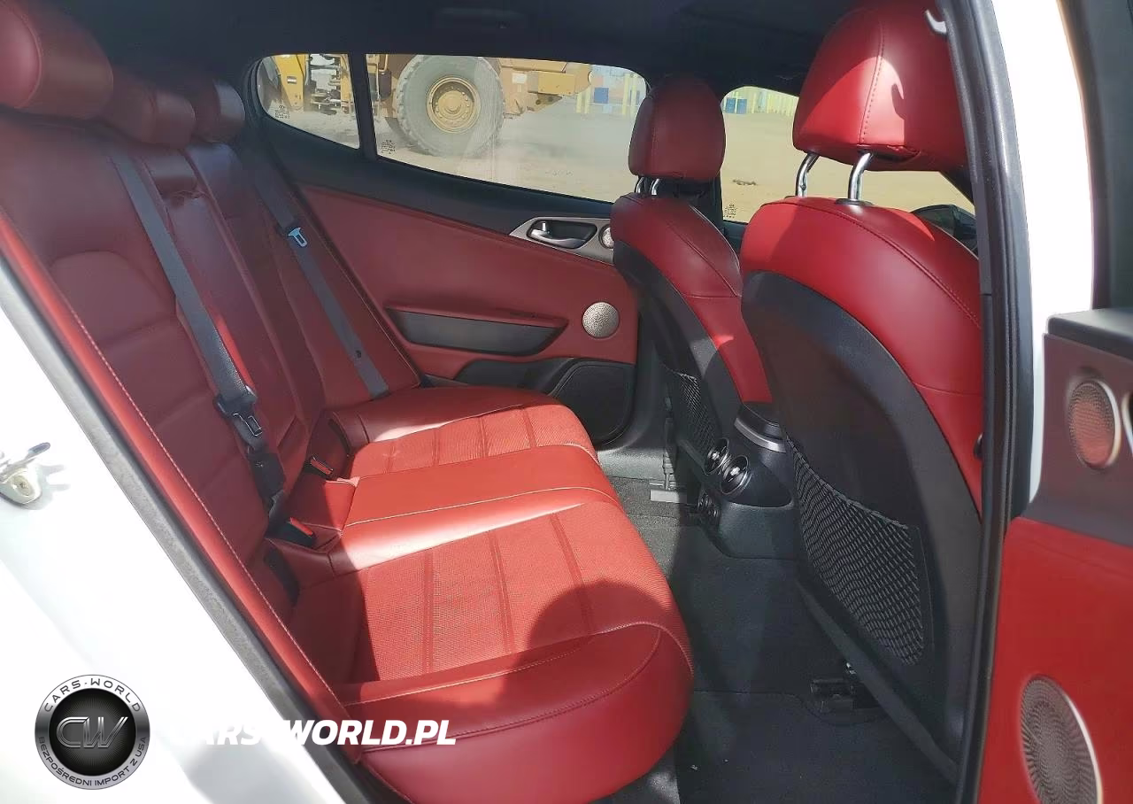 2019 Kia Stinger Gt2 VIN:KNAE55LC5K6045040 - 10