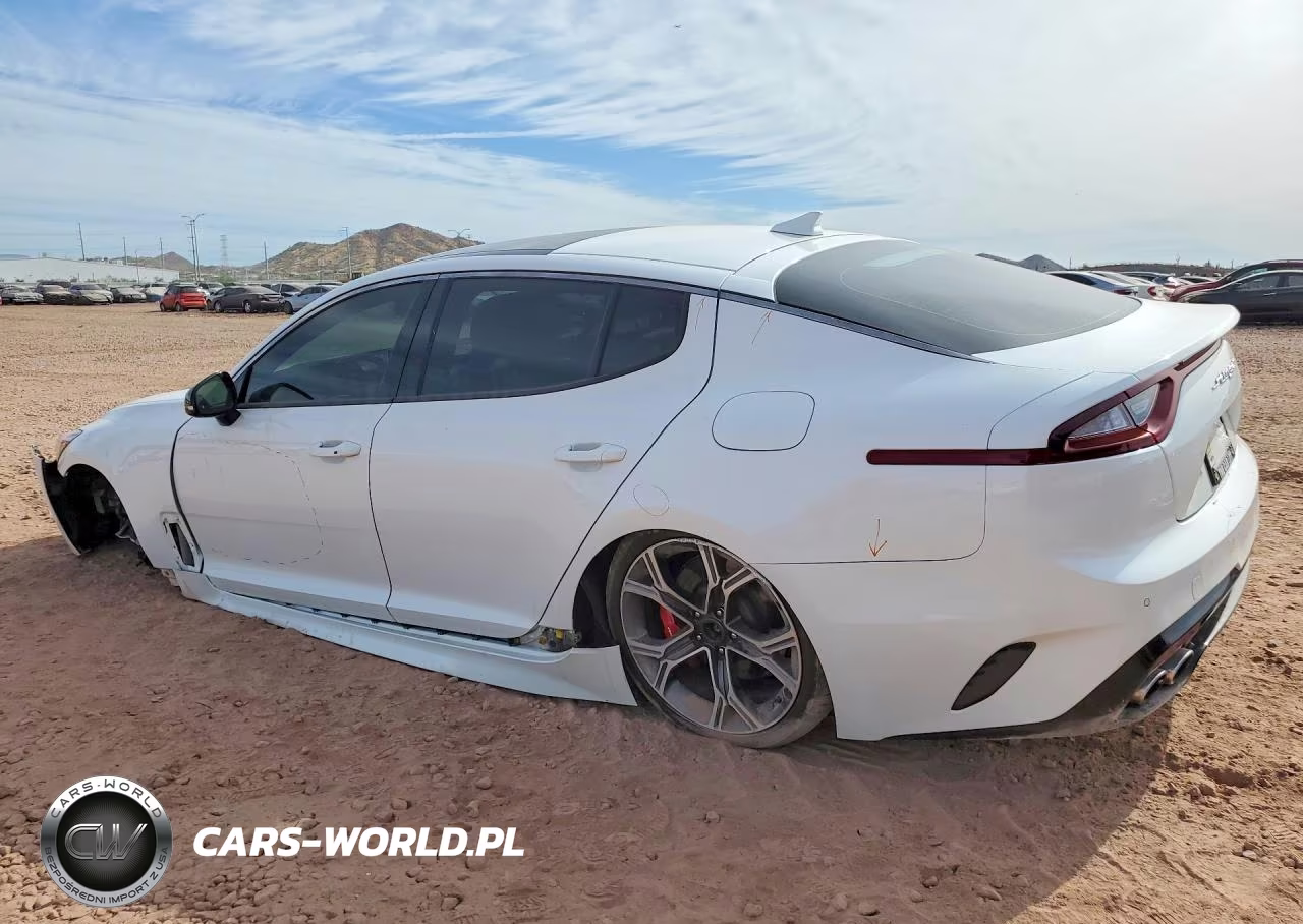 2019 Kia Stinger Gt2 VIN:KNAE55LC5K6045040 - 2