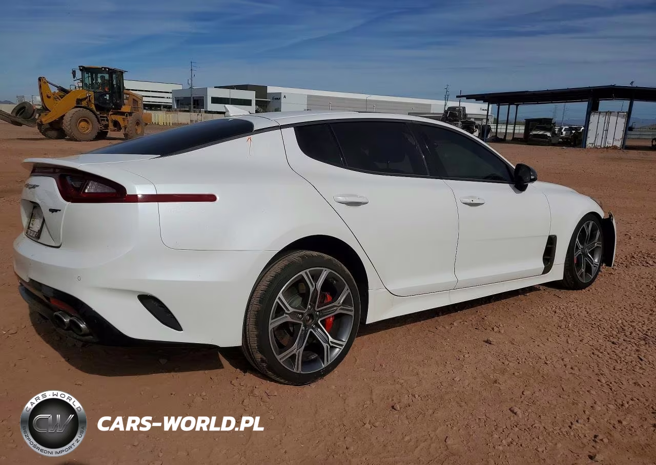 2019 Kia Stinger Gt2 VIN:KNAE55LC5K6045040 - 3