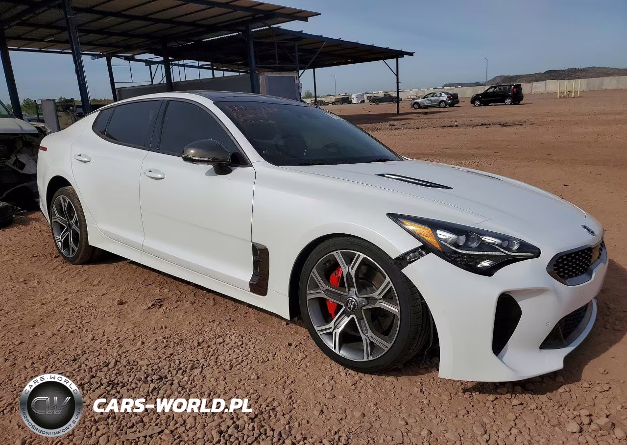 2019 Kia Stinger Gt2 VIN:KNAE55LC5K6045040 - 4