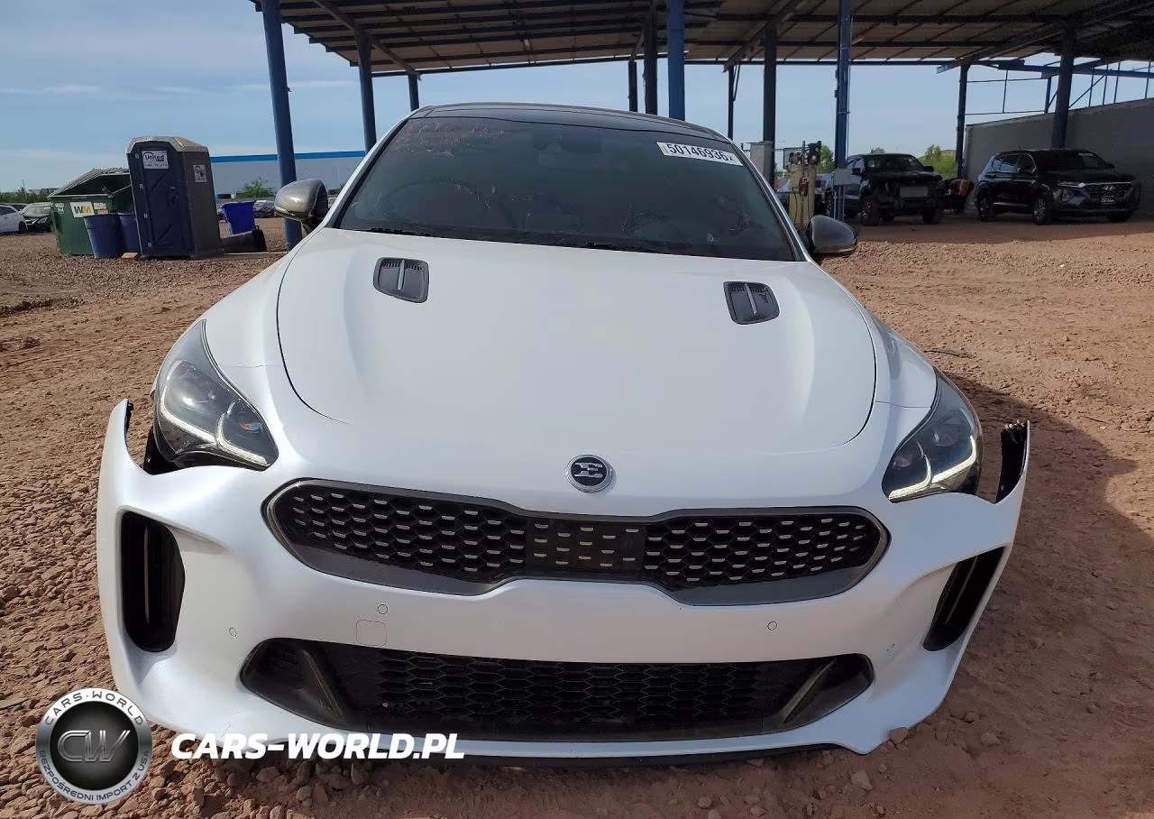 2019 Kia Stinger Gt2 VIN:KNAE55LC5K6045040 - 5