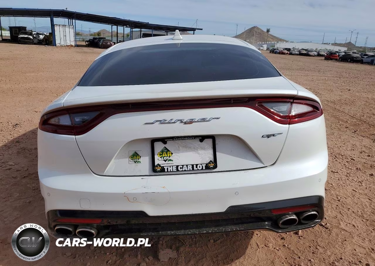 2019 Kia Stinger Gt2 VIN:KNAE55LC5K6045040 - 6