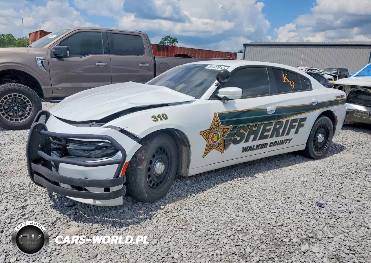 2020 Dodge Charger Police