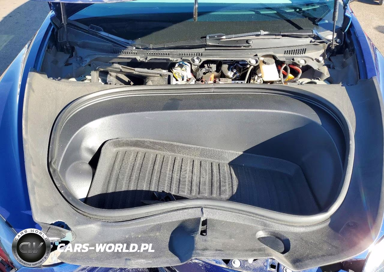 2025 Tesla Model 3 VIN:5YJ3E1EA1SF041876 - 11