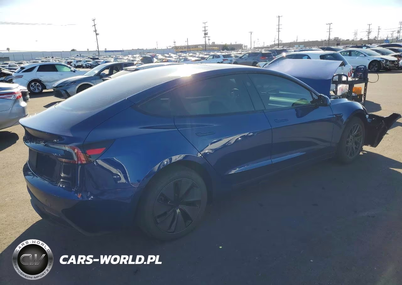 2025 Tesla Model 3 VIN:5YJ3E1EA1SF041876 - 3