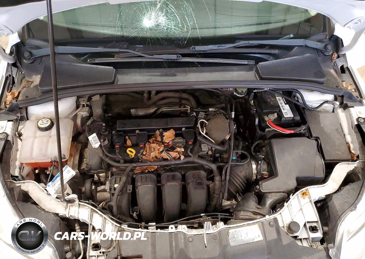 2013 Ford Focus Se VIN:1FADP3F2XDL231991 - 11