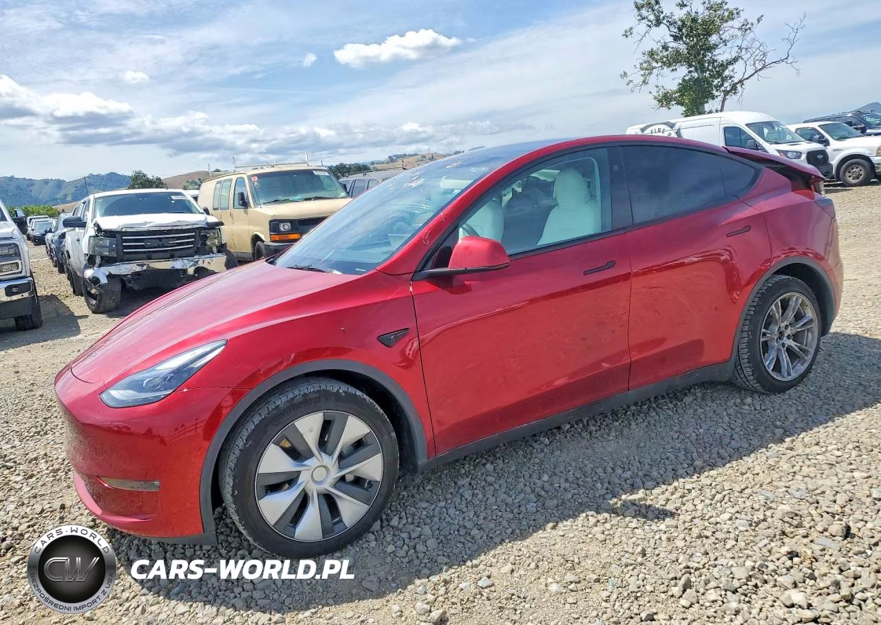 2024 Tesla Model Y