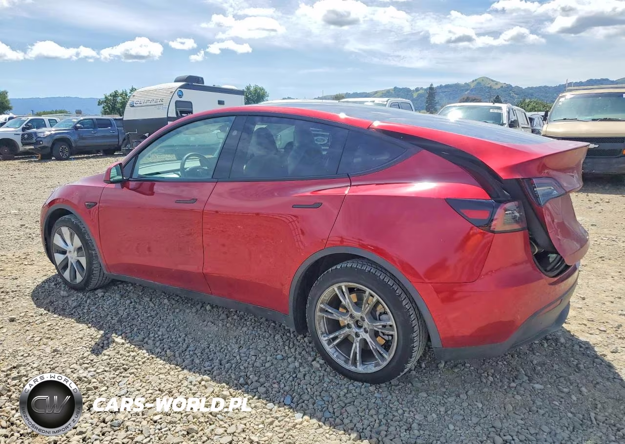 2024 Tesla Model Y VIN:7SAYGAEE6RF069513 - 2