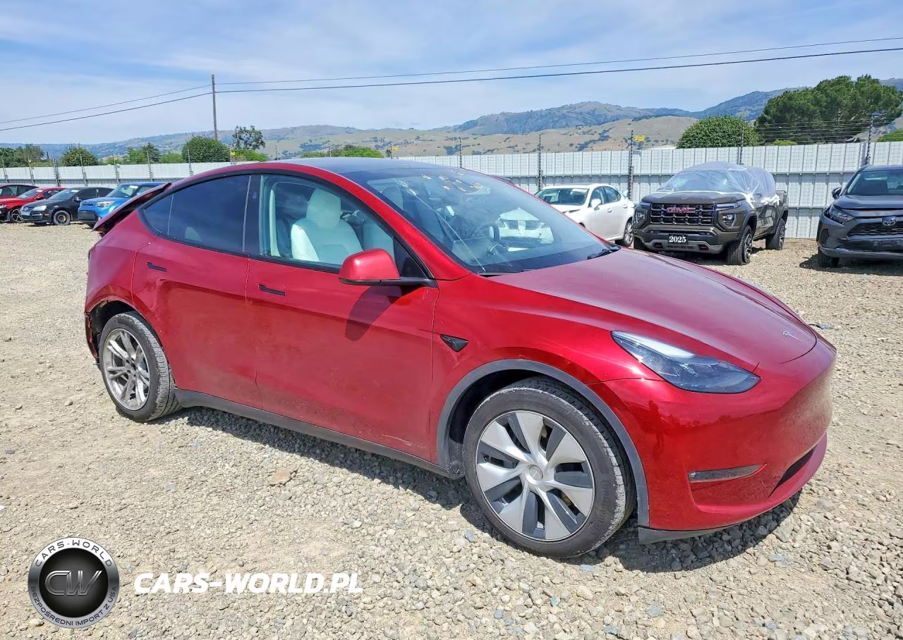 2024 Tesla Model Y VIN:7SAYGAEE6RF069513 - 4