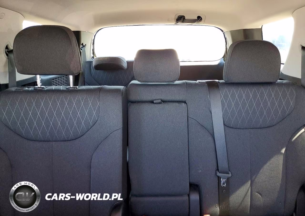 2020 Hyundai Palisade Sel VIN:KM8R3DHEXLU029679 - 10
