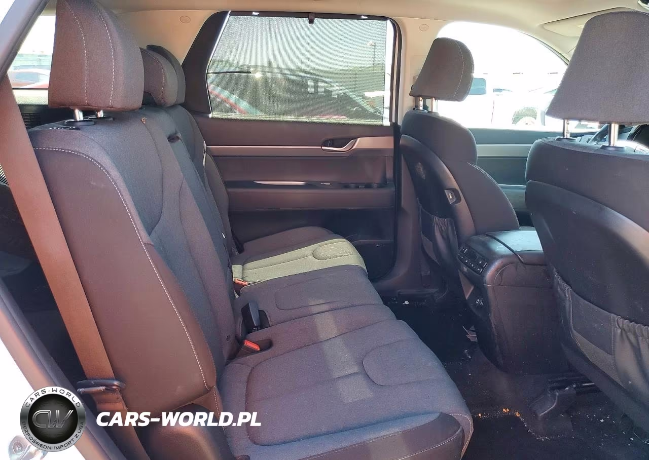 2020 Hyundai Palisade Sel VIN:KM8R3DHEXLU029679 - 11