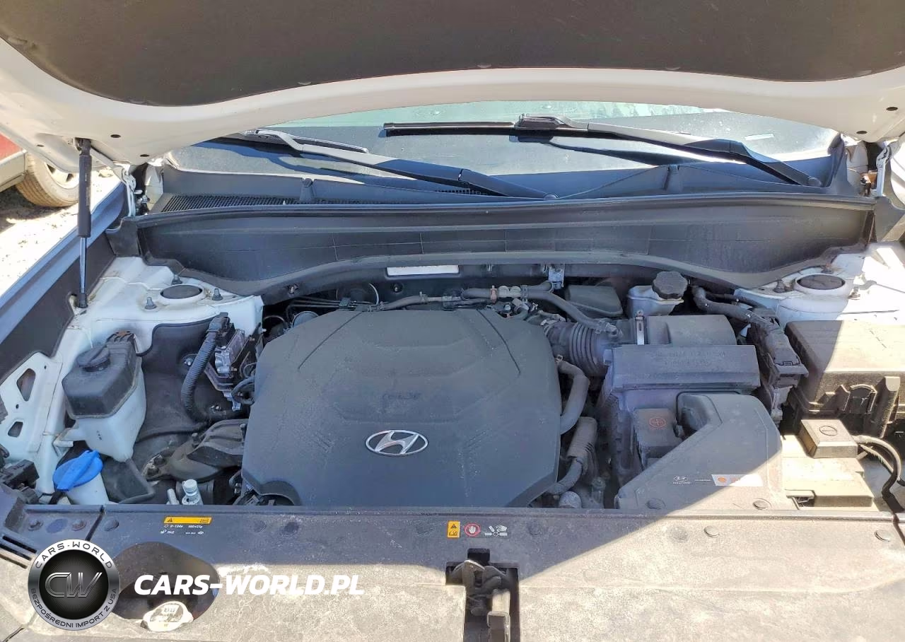 2020 Hyundai Palisade Sel VIN:KM8R3DHEXLU029679 - 12