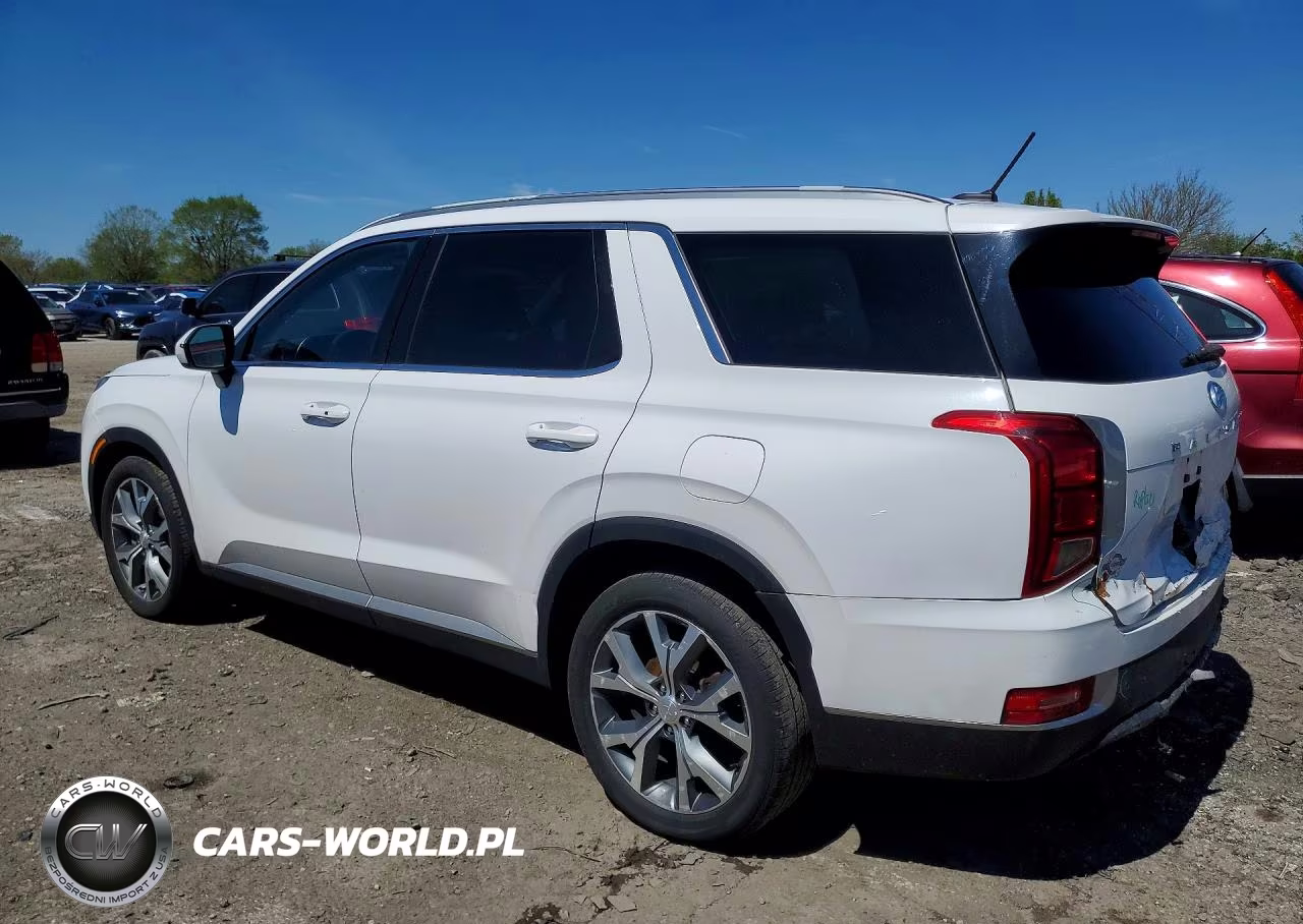 2020 Hyundai Palisade Sel VIN:KM8R3DHEXLU029679 - 2