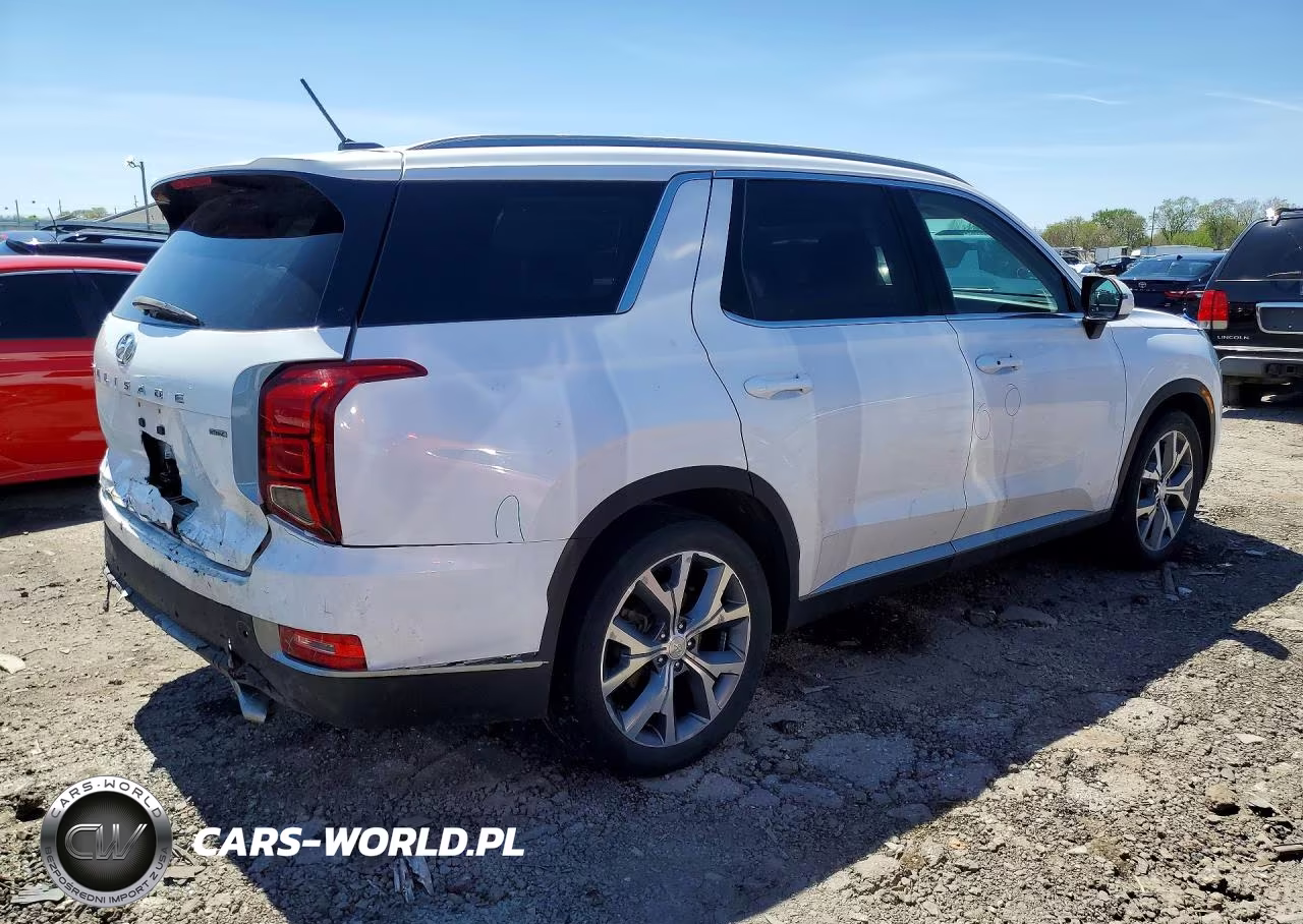2020 Hyundai Palisade Sel VIN:KM8R3DHEXLU029679 - 3