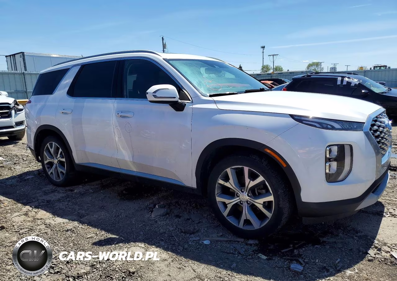 2020 Hyundai Palisade Sel VIN:KM8R3DHEXLU029679 - 4