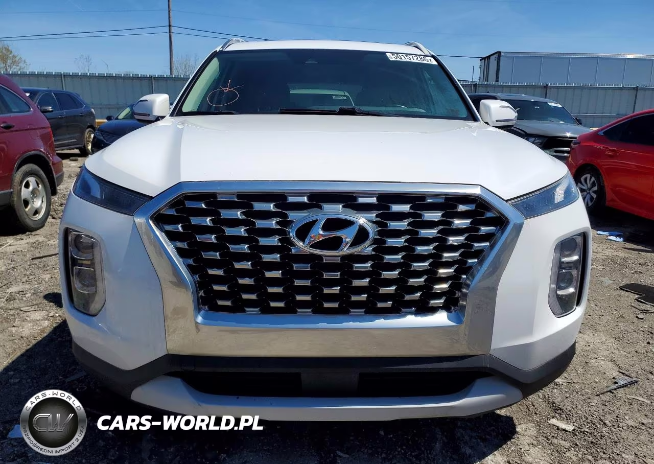 2020 Hyundai Palisade Sel VIN:KM8R3DHEXLU029679 - 5