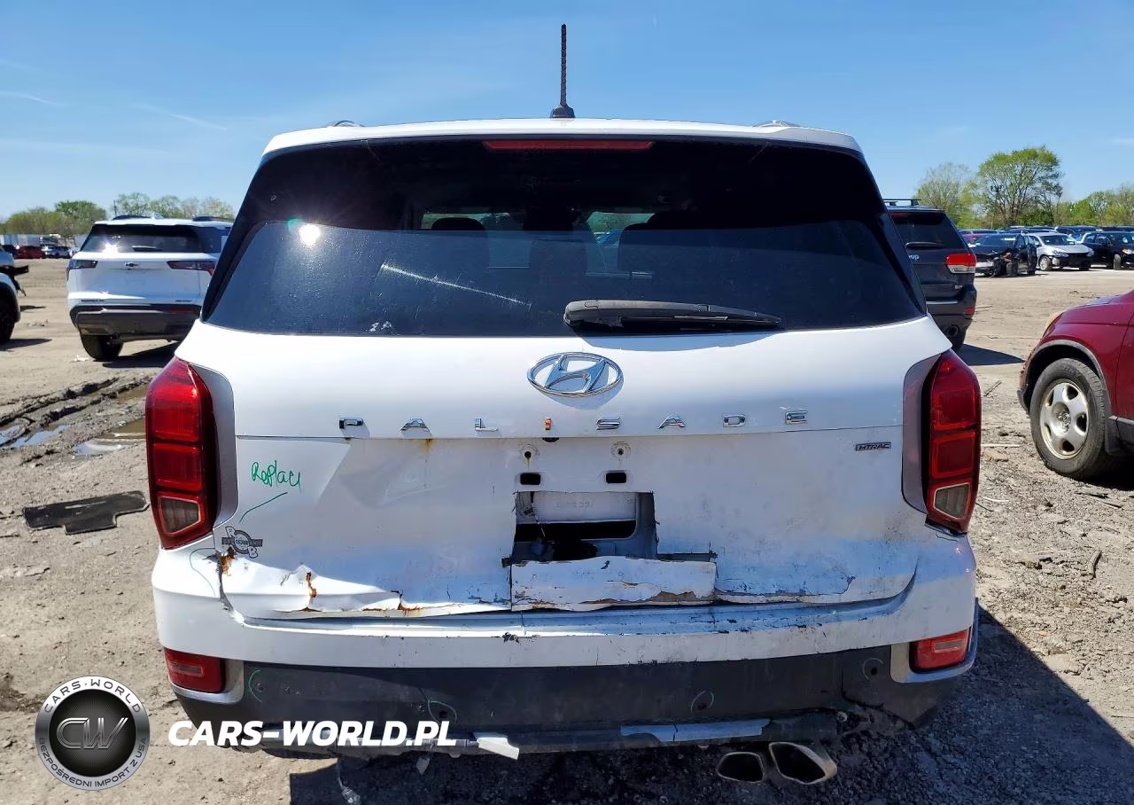 2020 Hyundai Palisade Sel VIN:KM8R3DHEXLU029679 - 6