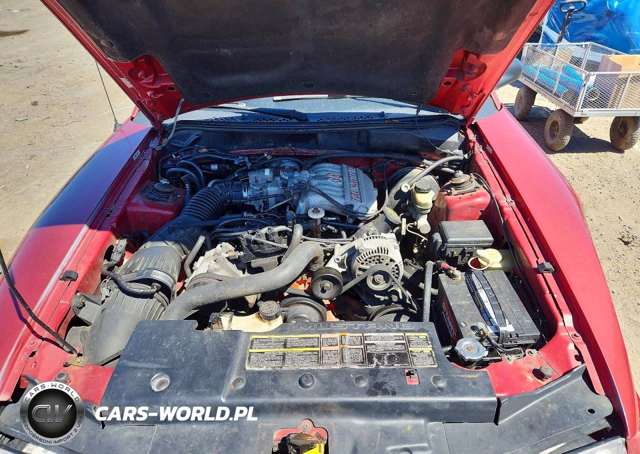 1996 Ford Mustang VIN:1FALP444XTF163081 - 11