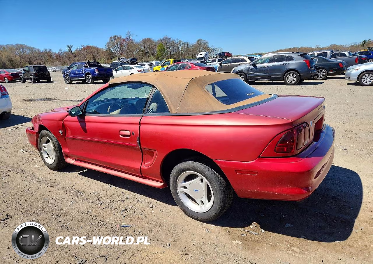1996 Ford Mustang VIN:1FALP444XTF163081 - 2