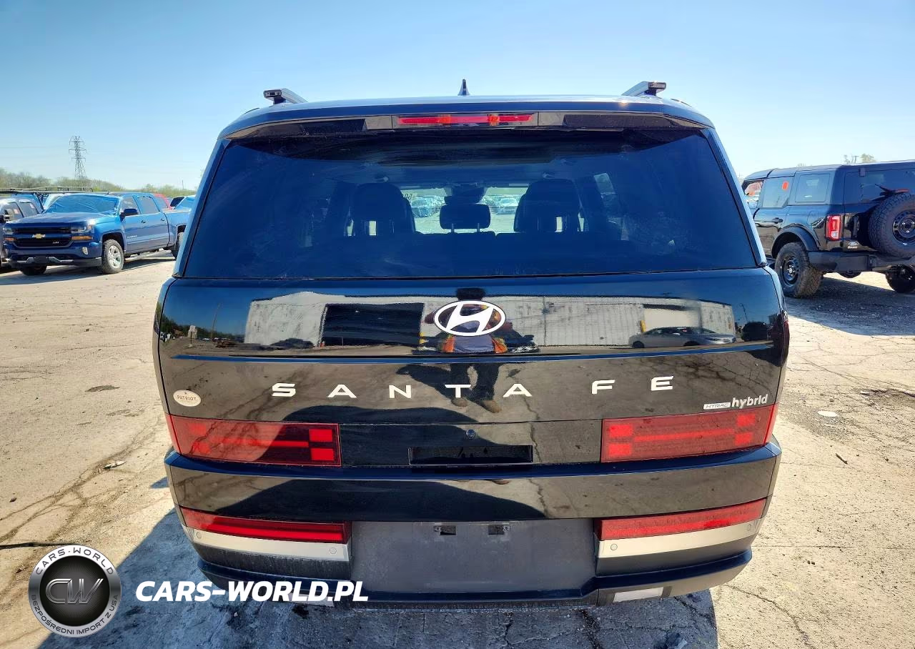 2025 Hyundai Santa Fe Limited VIN:5NMP3DG19SH021640 - 6