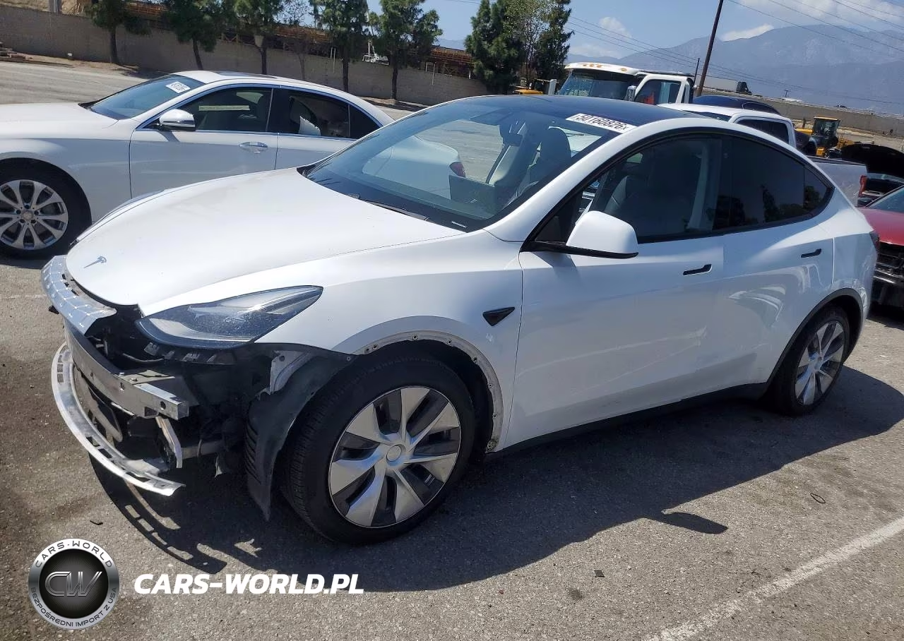 2020 Tesla Model Y