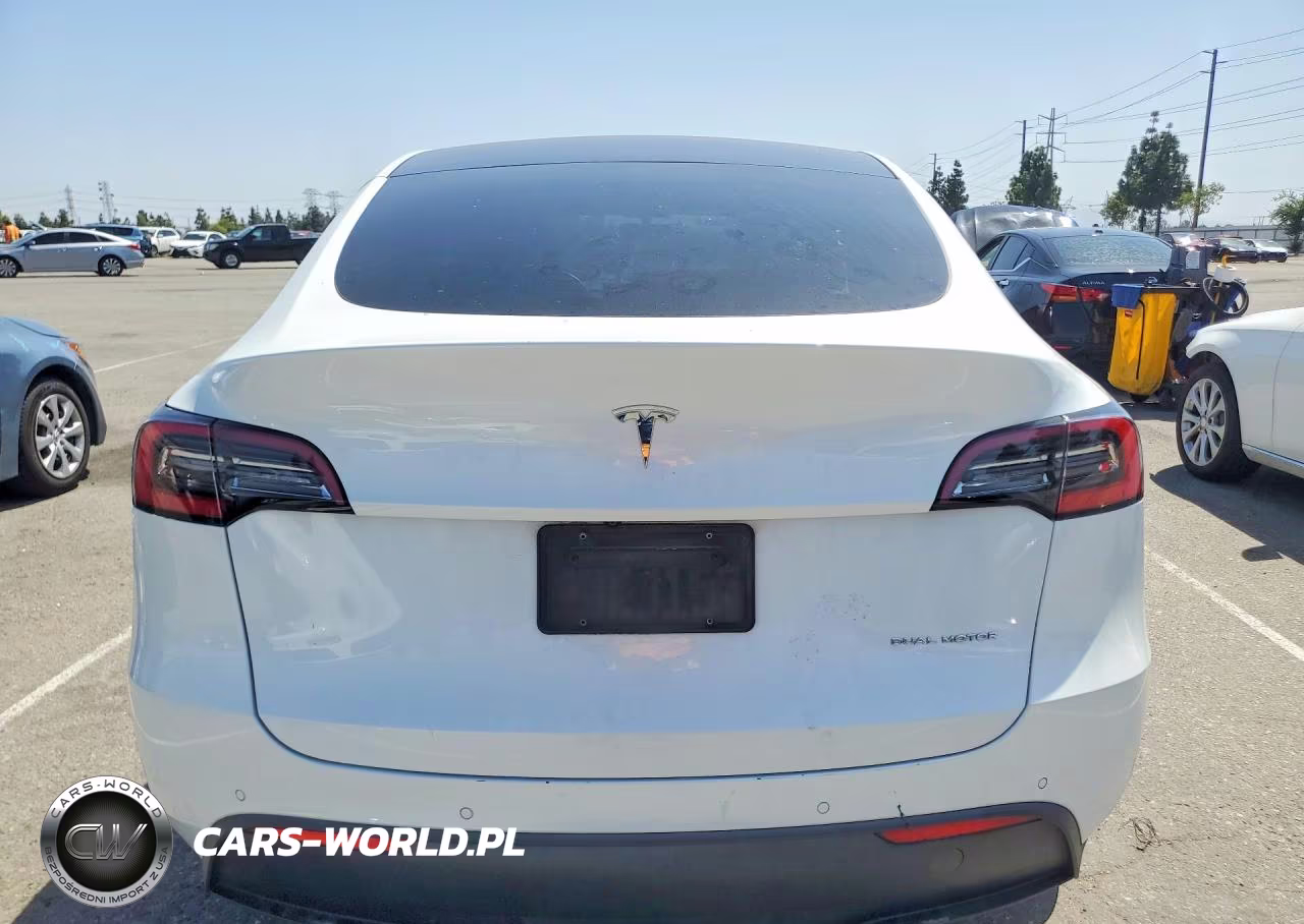 2020 Tesla Model Y VIN:5YJYGDEE1LF057484 - 6