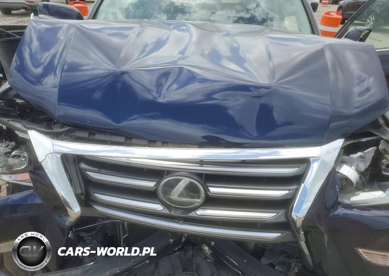 2018 Lexus Gx 460 Premium VIN:JTJJM7FX1J5207228 - 12