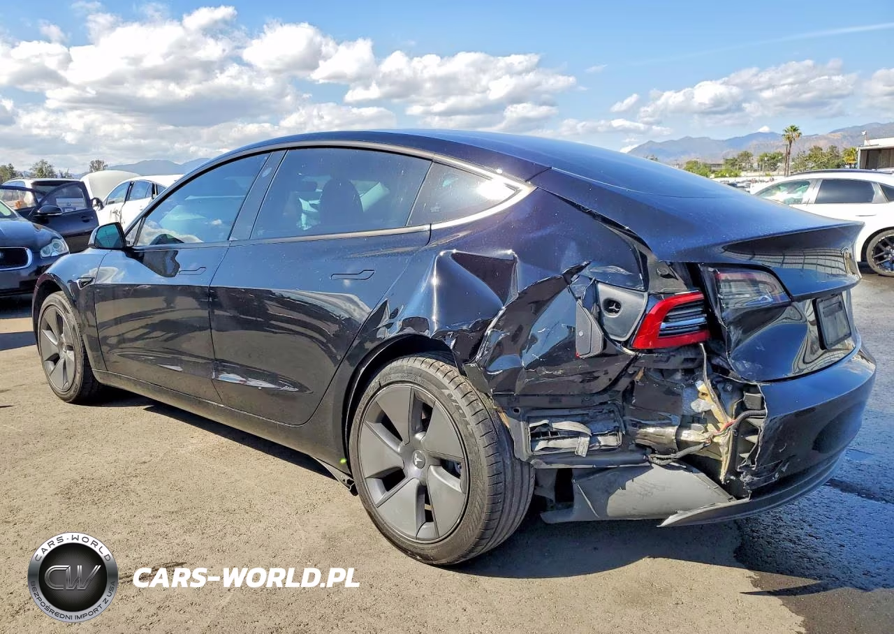2023 Tesla Model 3 VIN:5YJ3E1EA8PF562228 - 2