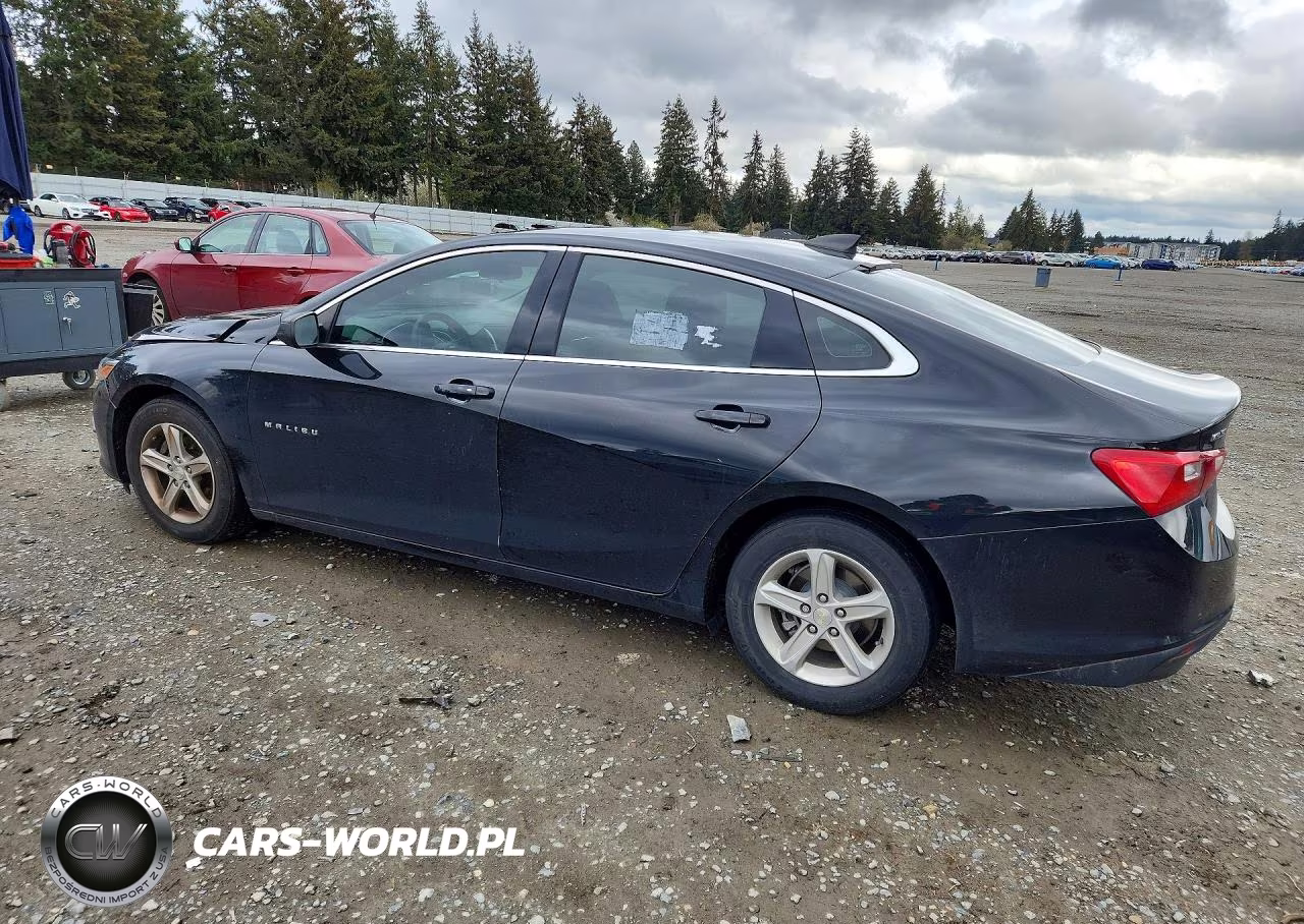 2019 Chevrolet Malibu Ls VIN:1G1ZB5ST6KF223755 - 2