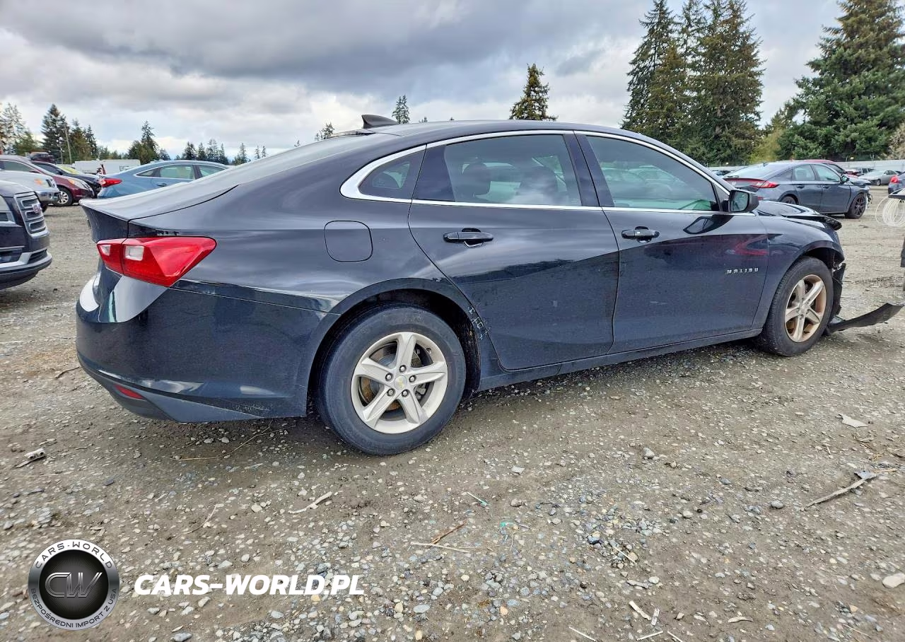 2019 Chevrolet Malibu Ls VIN:1G1ZB5ST6KF223755 - 3