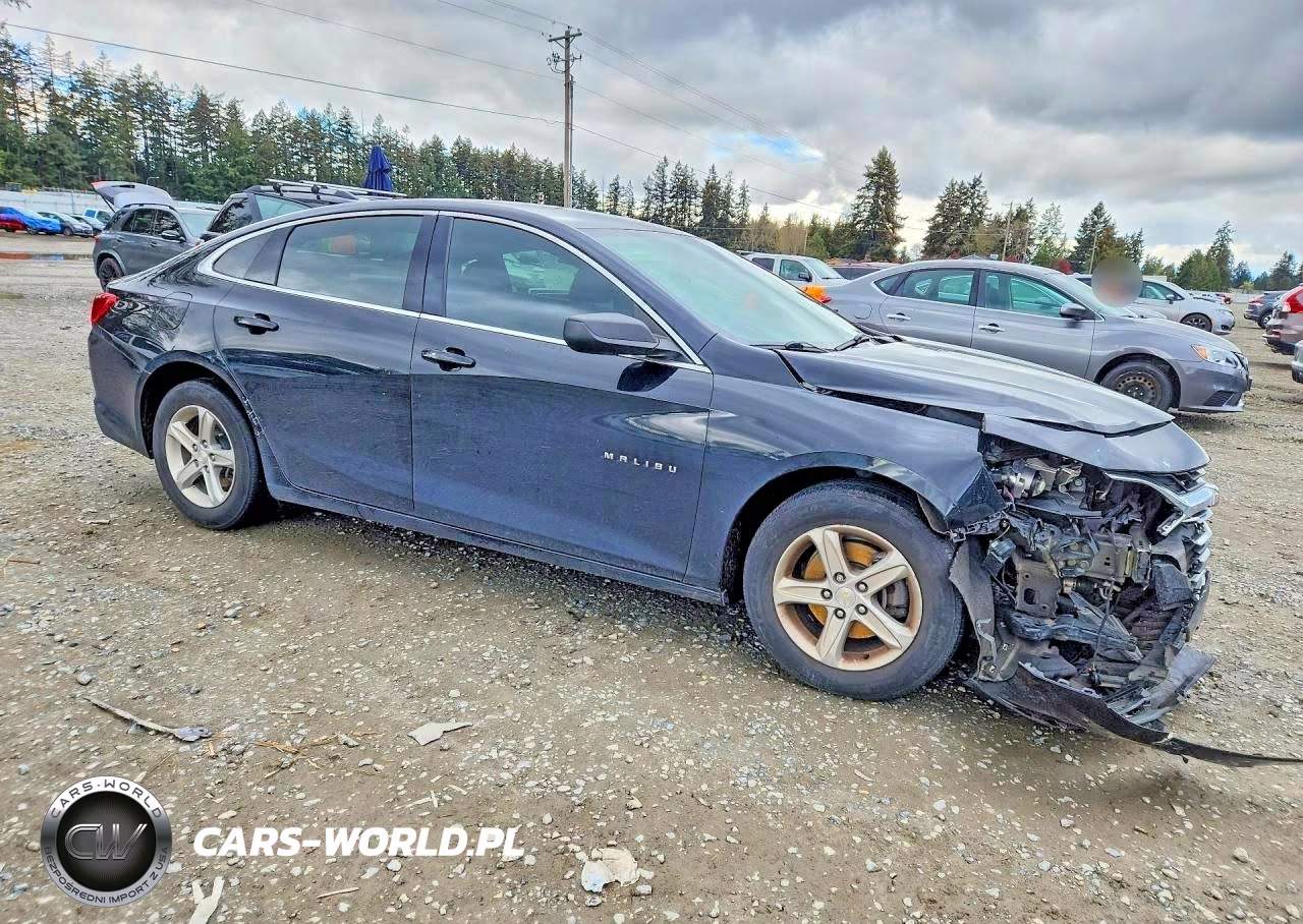 2019 Chevrolet Malibu Ls VIN:1G1ZB5ST6KF223755 - 4